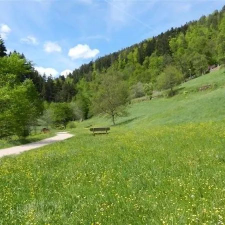 Apartmanhotel Appartementhaus Wiesengrund Bad Teinach-Zavelstein